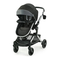Cochecitos de Bebés Graco MODES NEST Manual Del Propietário