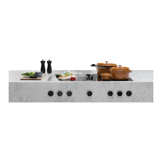 bora Professional 3.0 Manual De Instrucciones