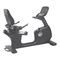 toorx BRX R9500