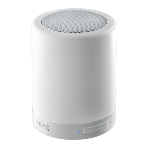 Peaq PPA44BT-W Manual De Instrucciones
