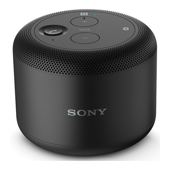 Sony BSP10 Guia Del Usuario