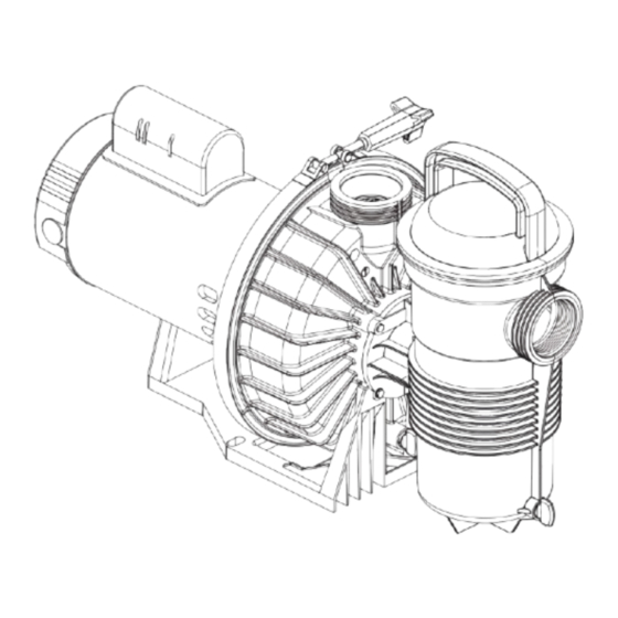 Pentair CHALLENGER Manual De Instalación Y Guía Del Usuario