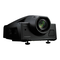 Proyectores Sony SRX-S110 Manual De Instrucciones