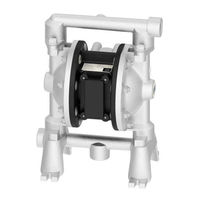 DÜRR EcoPump AD Instrucciones De Servicio
