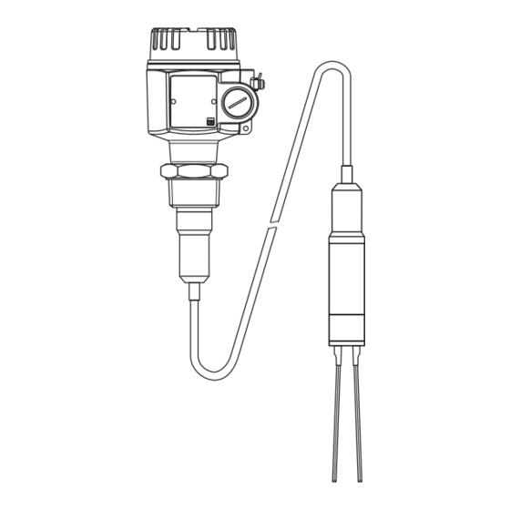 Endress+Hauser Soliphant M FTM52 Instrucciones De Operación