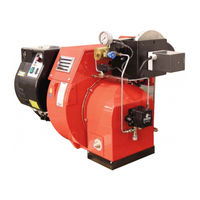 Ecoflam MAIOR P 60 PR Manual De Instrucciones