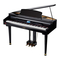 thomann DP-495 GP BK