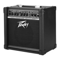 Peavey TRANSTUBE 258 EFX Manual Del Usario