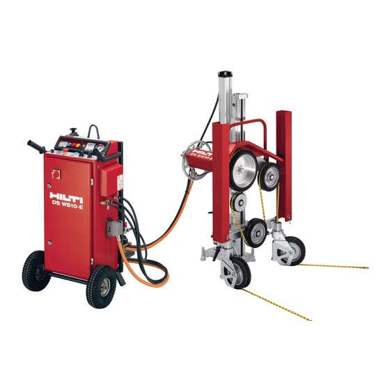 Hilti DS WS10 Manual De Instrucciones