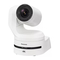 Panasonic AW-UE160WP