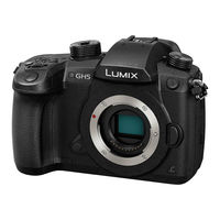 Panasonic DC-GH5 Instrucciones De Funcionamiento