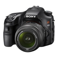 Sony SLT-A65 Manual De Instrucciones