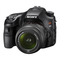 Cámaras Digitales Sony a65 Manual De Instrucciones