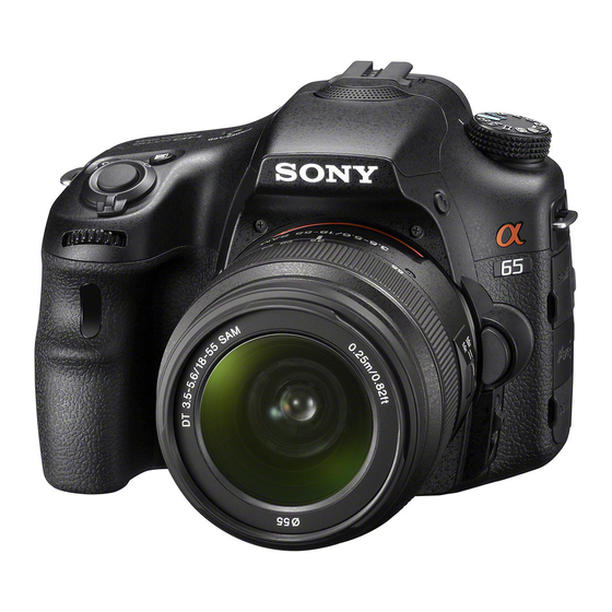 Sony a65 Manual De Instrucciones