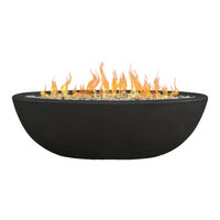 RealFlame 590LP Riverside Oval Manual De Instruccion