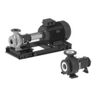 Xylem LOWARA e-IXPS Instrucciones Adicionales De Instalación, Uso Y Mantenimiento