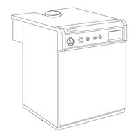 Ferroli PEGASUS F3 Instrucciones De Instalación Y Funcionamiento