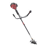 MTD Yard Machines Y2900EC Manual De Propietario Y Operador