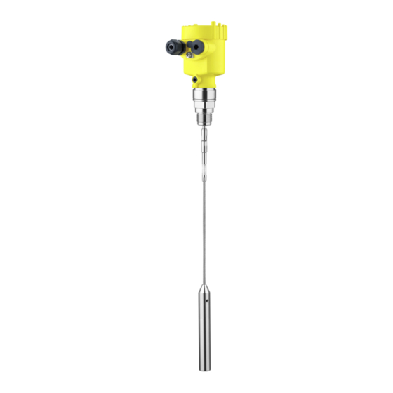 Vega VEGAFLEX 61 Instrucciones De Servicio