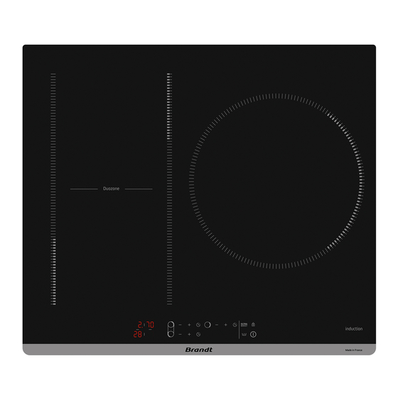 Brandt BPI163DUB Manual De Instrucciones