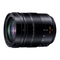 Panasonic H-ES12060 12-60 mm f2.8 - 4.0 Manual