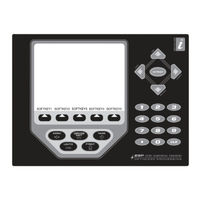 Rice Lake Weighing Systems 920i Manual Del Operador