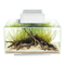 Acuarios Fluval Edge 23 L Guia Del Usuario