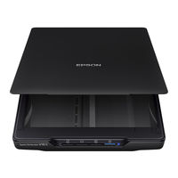 Epson Perfection V19 II Manual Del Usuario