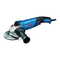 Amoladoras Bosch GWS Professional 18-125 L Manual Original