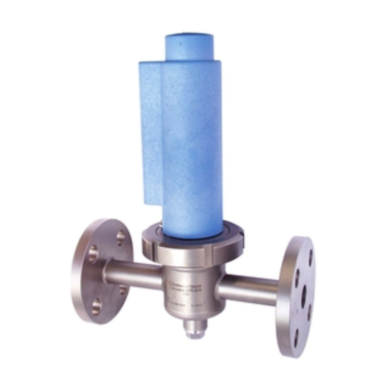 Endress+Hauser Flowfit CPA240 Manual De Instrucciones