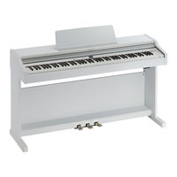 Roland RP301R Manual Del Usuario