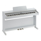 Roland RP301R