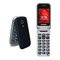 Celulares Telefunken TM 210 IZY Guía De Usuario