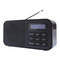 Radio Denver DAB-42 Manual De Instrucciones