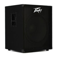 Peavey PV 118 D Manual De Instrucciones