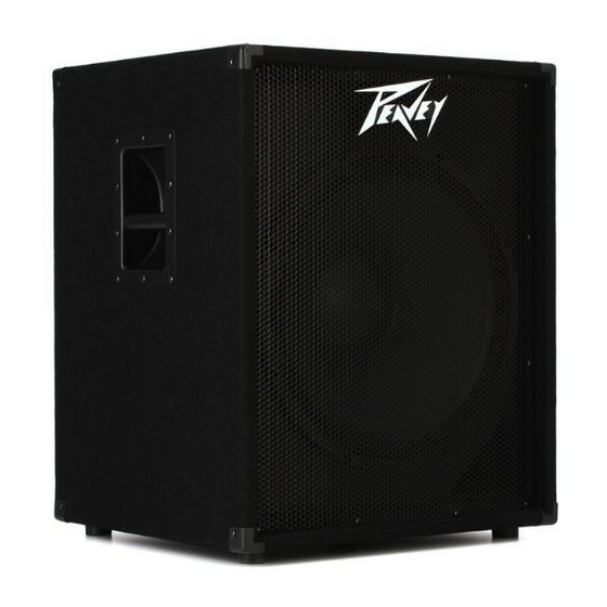 Peavey PV 118 D Manual De Instrucciones
