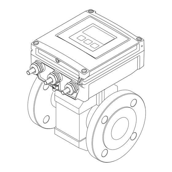 Endress+Hauser Proline Promag W 400 Manual De Instrucciones