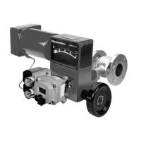 Baker Hughes Masoneilan Camflex II 35002 Serie Manual De Instrucciones
