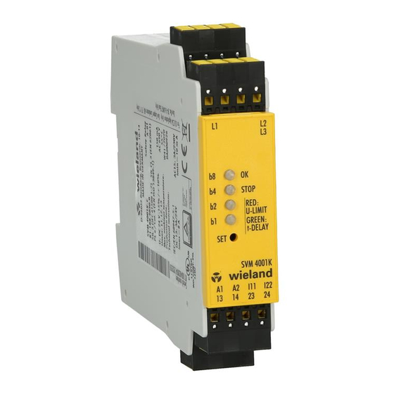 Wieland SVM 4001K-A Instrucciones De Montaje