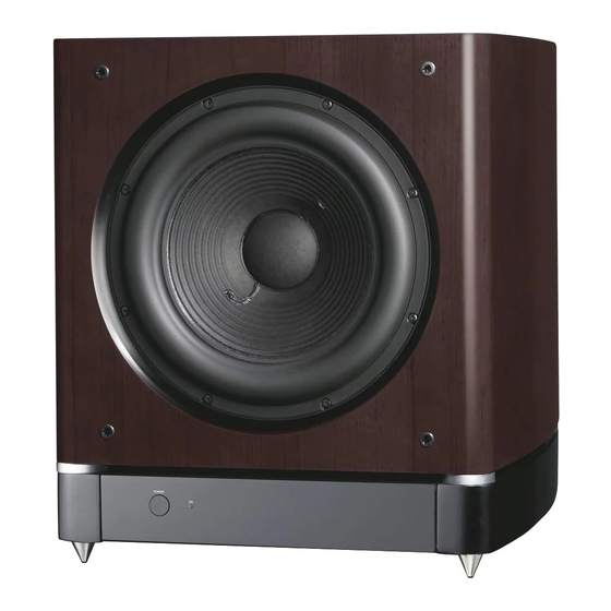 Pioneer S-W250S Manual De Instrucciones