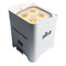Luz de Inundación Chauvet DJ Freedom Par Hex-4 Manual De Instrucciones