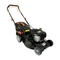 Cortacéspedes Deltafox DG-PLM 4219 SP Traducción Del Manual De Instrucciones Original