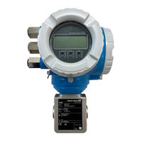 Endress+Hauser Proline Promag W 300 PROFIBUS PA Manual De Instrucciones