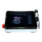 KONTROLab LUNVET4