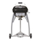 Parrillas OUTDOOR CHEF CITY 420 G Manual De Instrucciones