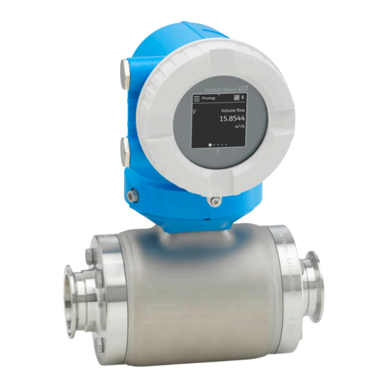 Endress+Hauser Proline Promag H 10 Manual De Instrucciones