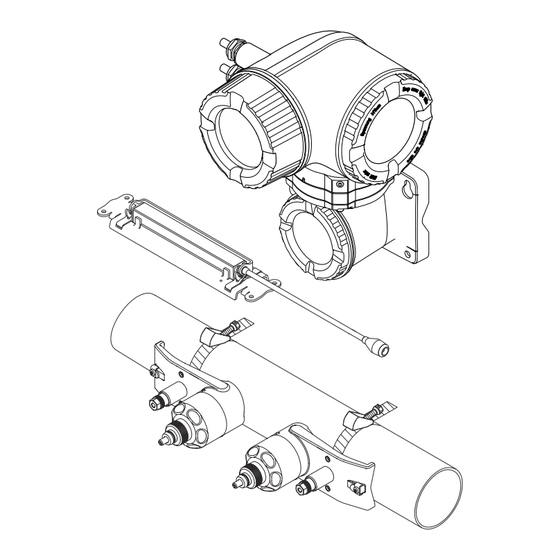 Endress+Hauser Proline Prosonic Flow P 500 Manual De Instrucciones