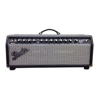Fender Bassman 800 Manual De Instrucciones