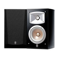 Yamaha NS-333 Manual Del Usuario