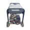 Briggs & Stratton Power Boss 030249